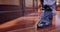 Close-up men`s feet and black shoes. Business guy walks over a wooden floor in a chic office.