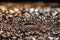 close-up of metal shavings from machining process