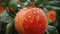 Close up micro shot of fresh peach with water drops on tree, wide banner with copy space