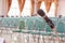 Close-up of Microphone in Empty Meeting Announcement Room