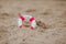 Close-up Of Miniature Lifebuoy Dig In The Sand At Beach