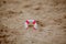 Close-up Of Miniature Lifebuoy Dig In The Sand At Beach