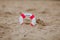 Close-up Of Miniature Lifebuoy Dig In The Sand At Beach