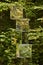 Close up of a mirror statue with green reflected tree leaves near Hallstatt salt mines in Austria.