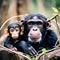 Close-Up of Mixed Breed Monkey Between Chimpanzee and Bonobo in Jungle - Hyper Realistic Photograph