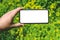 Close-up Mockup of a smartphone in a man`s hand. Against the background of yellow daisies in the garden