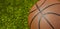 Close-up of modern basketball on the grass, panorama