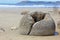 Close up of a moeraki boulder