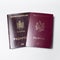 Close-up of Moldavian and Romanian passports isolated on white background.
