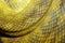 close up Moluccan Python snake skin