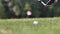 Close up of a moment when ball being hitted by a wedge on the green golf pitch on a sunny summer day rising grass up. Outside. slo