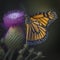 A close-up of a monarch butterfly drinking nectar from a thistle