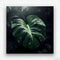 Close-up of Monstera with raindrops, picture on white wall, generative AI.