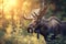 Close-up of moose in a summer forest, morning sunlight