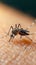 Close up of a mosquito on human skin, highlighting a nuisance