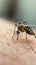 Close up of a mosquito on human skin, highlighting a nuisance