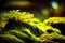 A Close-up of moss and plant in a forest. Created with Generative AI