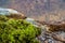 Close up of moss, rocks and water