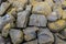 Close-up of mossy stones on a breakwater along the Delta Works