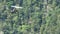 Close-up of Moullec ultralight in flight with a flock of migrating geese