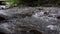 Close up of mountain stream flow. Shallow brooks in the forest.