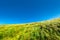 Close-up of a mountainside slope covered with grass against a bl