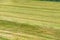 Close-up of a mowed field for the haymaking - Trentino Italy