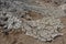 Close up of Mud flow from geothermal volcano pots at Salton Sea