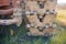 Close up muddy continuous caterpillar tracks of the bulldozer n a background of green grass