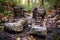 close-up of muddy hiking boots on forest trail