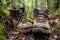 close-up of muddy hiking boots on a forest trail