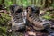 close-up of muddy hiking boots on a forest trail