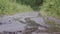 Close-up of muddy path in rain on background of green grass. Stock footage. Macro shooting of dripping rain on muddy