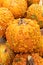 Close up of mulitple knucklehead pumpkins