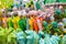 Close-up of multi colored pens. Ballpoint pens in the form of small animals on a shop counter. Bright stationery goods.