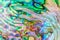 Close up multicolour texture background of paua shell, haliotis