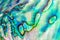 Close up multicolour texture background of paua shell, haliotis