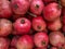 Close up of Multiple Pomegranates