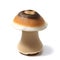 close up mushroom on white background, Ai generated