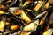 Close up of mussels mariniere