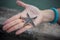 Close up natural marine seastar on woman hand