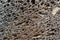 Close up of natural pumice stone texture . Porous pumice abstract background.