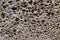 Close up of natural pumice stone texture . Porous pumice abstract background.