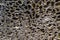 Close up of natural pumice stone texture . Porous pumice abstract background.