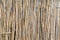 Close-up  of   natural reed background  retro wall