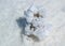 Close-up of natural salt crystals at the Salar de Uyuni Salt Flats, Potosi, Bolivia