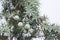 Close-up on needles and berries on juniper branches