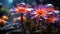 A close-up of neon flowers in a tropical rainforest