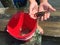 Close-up of New England crab held by boys hands with red bucket