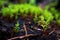 close-up of new green sprouts among charred trees